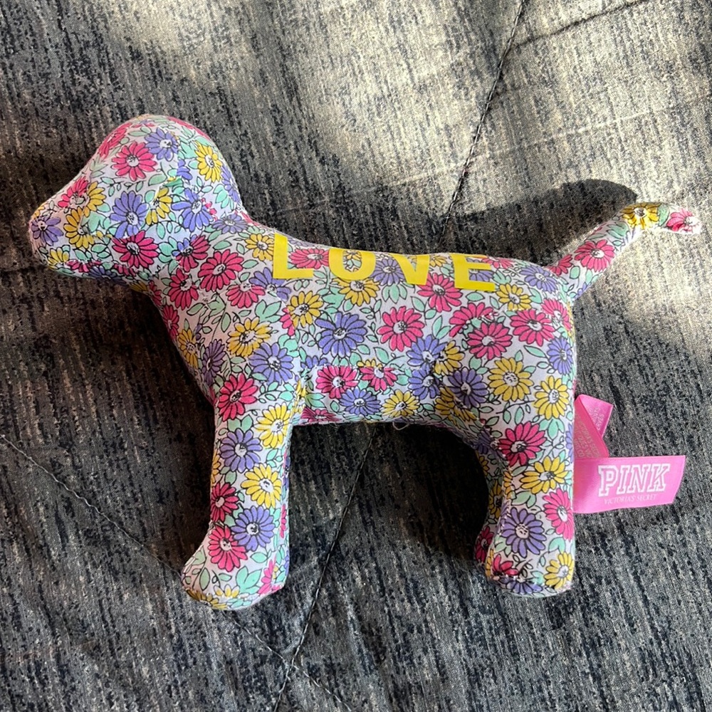 VS PINK Dog